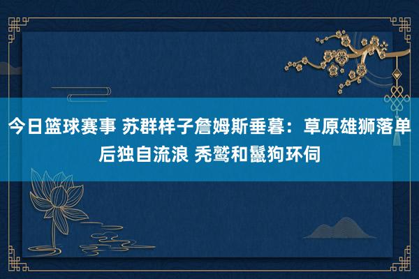 今日篮球赛事 苏群样子詹姆斯垂暮：草原雄狮落单后独自流浪 秃鹫和鬣狗环伺